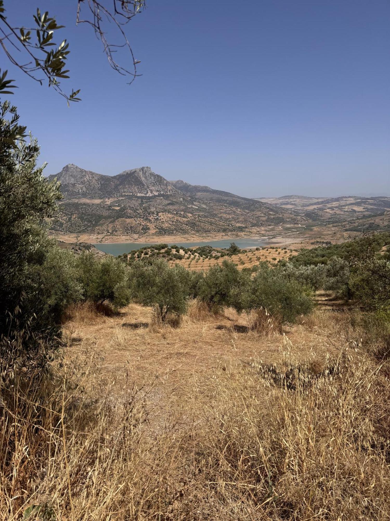 Finca Luca Oliva Zahara De La Sierra Εξωτερικό φωτογραφία