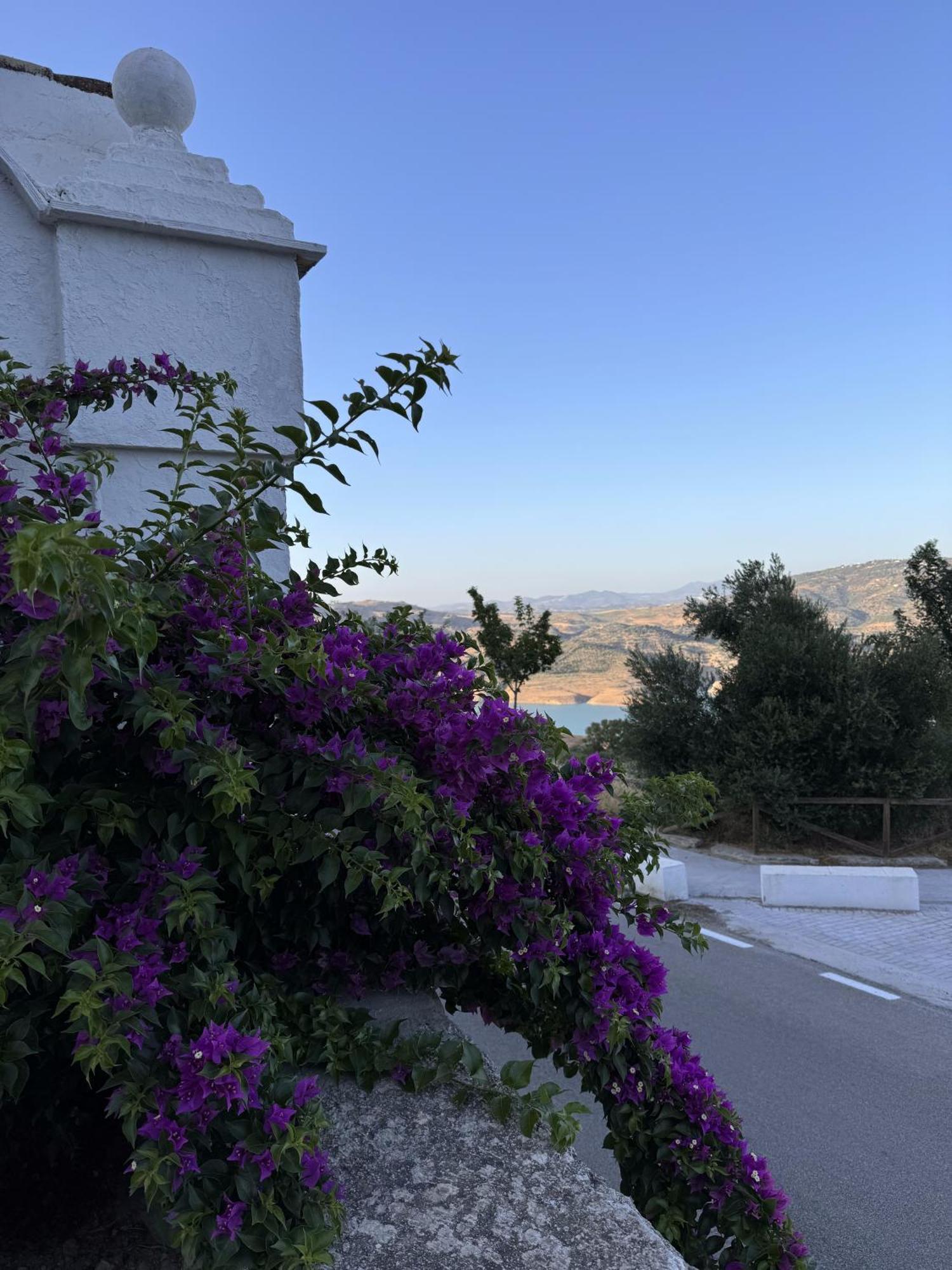 Finca Luca Oliva Zahara De La Sierra Εξωτερικό φωτογραφία