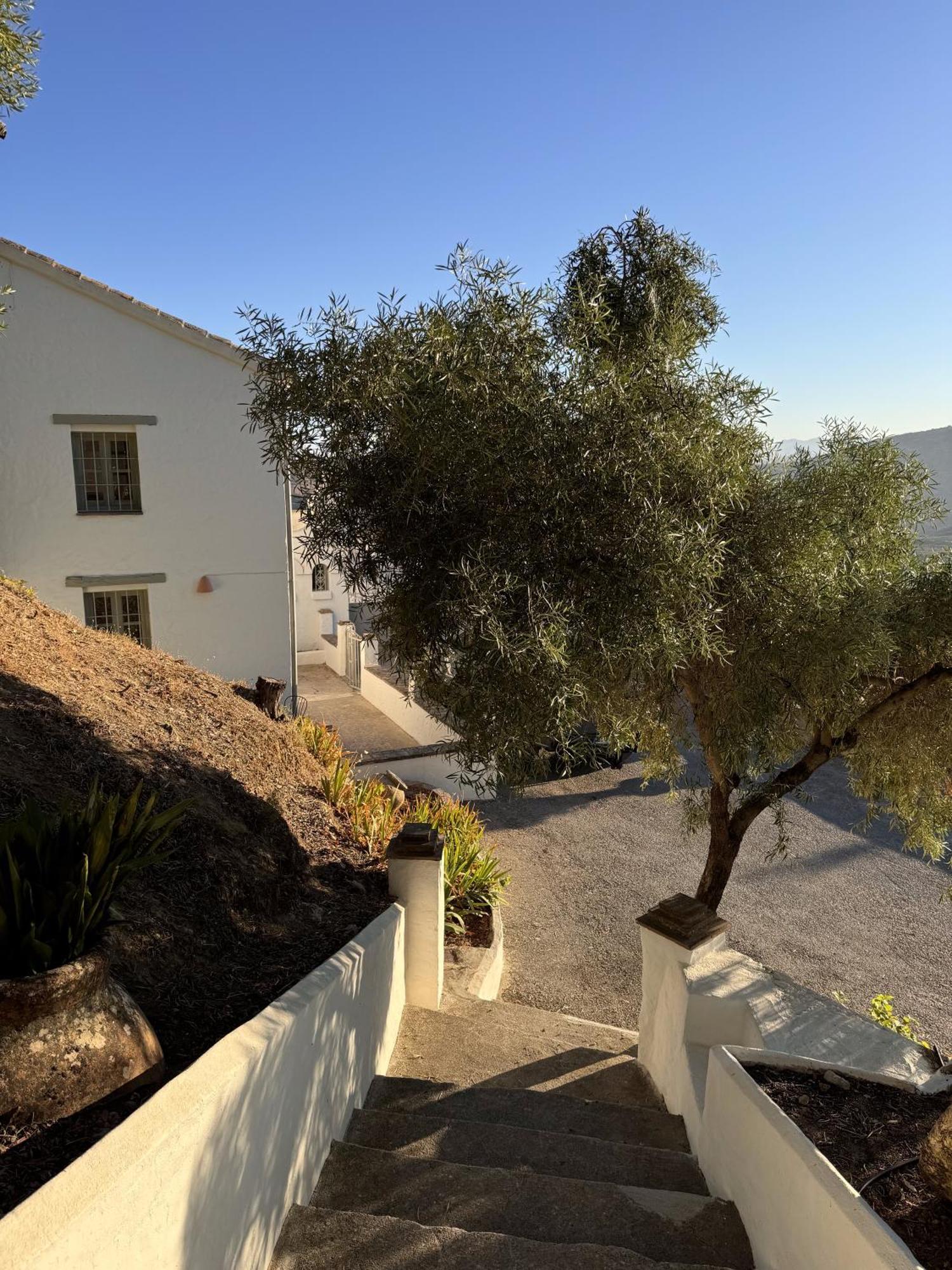 Finca Luca Oliva Zahara De La Sierra Εξωτερικό φωτογραφία